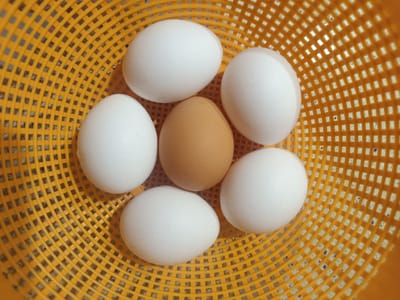 Six eggs are arranged in a yellow, plastic, woven basket. Five of the eggs are white, and one egg in the center is brown. The basket is filled with a grid pattern of small squares. The image is shot from a top-down perspective, with the eggs filling the majority of the frame. No specific location in Vitoria-Gasteiz, Spain, is identifiable.