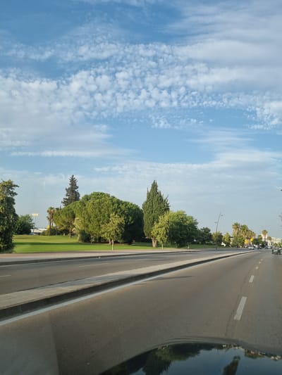 The image shows a view from a vehicle driving along a multi-lane road in Jerez, Spain. The road has clear white lane markings and a concrete curb. On the left side of the road, there is a well-maintained grassy area with various trees, including pine trees and palm trees. Some buildings and streetlights are visible in the distance on the right side of the road, and several cars are driving on the road. The sky is blue with scattered white clouds. The overall scene depicts a typical urban or suburban environment with green spaces.