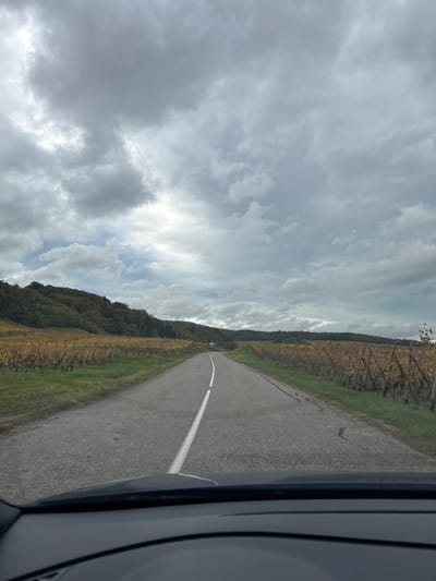 The image captures a rural road scene in the vicinity of Blienschwiller, France, viewed from the interior of a vehicle. The bottom of the frame shows the top edge of a dark dashboard. A paved, two-lane asphalt road, marked with a continuous white center line, extends into the distance, curving gently to the right. On both sides of the road, extensive vineyards with grapevines displaying golden-yellow autumn foliage are visible. Beyond the vineyards on the left, a forested hillside with a mix of green and yellow trees rises. Rolling hills are present in the far background. A white recreational vehicle or camper van is identifiable on the road ahead, partially obscured by the curve. The sky is heavily overcast with dense grey clouds, showing some lighter areas. No individuals are visible.