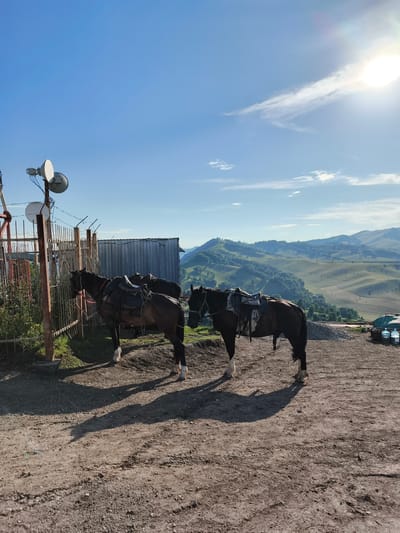 A scene unfolds in the city of Aya, Russia, featuring two horses equipped with saddles standing on a dirt path. One horse, a dark bay, is positioned closer to the foreground, facing left, with its hindquarters towards the viewer. Its saddle is secured with girth straps. To its left, a fence made of metal poles and mesh separates the path from a grassy area with dense foliage. A vertical metal pole with a cluster of communication antennas is mounted on the left side of the fence. Behind the fence, a corrugated metal structure stands.
The second horse, also dark bay with white markings on its legs, is situated further back and to the right, facing left. It also wears a saddle. The background reveals a vast expanse of rolling hills covered in greenery, with trees dotting the landscape. The sky is a clear blue, with a bright sun shining from the upper right corner, casting long shadows from the horses onto the dirt ground. In the far right of the image, several large water bottles are visible near a green tarp. The overall impression is a serene, outdoor environment with a hint of infrastructure from the communication equipment.