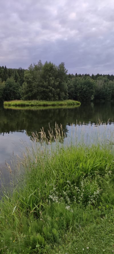 The image depicts a tranquil natural scene featuring a lake with a small, densely wooded island. The foreground is dominated by lush green grass and tall reeds reaching towards the water's edge. The lake's surface is dark and reflects the overcast sky and surrounding trees, creating a slightly somber mood. In the background, a thick forest forms a natural backdrop, with a variety of trees creating a textured canopy. The sky is filled with heavy, grey clouds, suggesting an impending rain or a generally cloudy day. The location is identified as Росинка Кп, Russia. There are no people or specific objects that indicate human activity, rendering the scene as a purely natural landscape.
