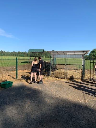 The image shows two individuals, a male and a female, standing near a fenced enclosure. The female is wearing a black tank top and black shorts, and the male is wearing a black t-shirt and black shorts with white stripes. They appear to be looking into the enclosure, which contains a dark-colored animal, possibly a cow or a bull, standing on a bed of straw.
The enclosure is partially covered by a roof structure and has wire mesh walls. Next to the enclosure, there are bales of straw and a green plastic trough. The ground in front of the enclosure is a dark, gravelly surface, with shadows cast by the enclosure and possibly other unseen objects.
In the background, there is a green fence, a grassy field, and a line of trees. The sky is clear and blue. The scene appears to be outdoors, in a rural or semi-rural setting, possibly a farm or an animal sanctuary. The location is identified as Ракаўскі сельскі Савет, Belarus.