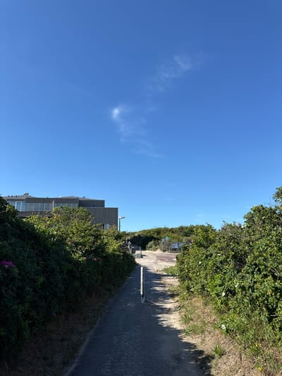 This media file depicts an outdoor scene on a bright, sunny day, with a clear blue sky and a few wispy clouds. The image is oriented vertically, with the sky occupying the left two-thirds of the frame and the ground, vegetation, and a building filling the right third.
The scene appears to be a coastal path or walkway, lined with dense green bushes and trees. Some white and pink flowers are visible amongst the foliage. The path itself is made of a dark, textured material, possibly asphalt or a similar paving. Shadows of trees are cast across the path, indicating the sun is relatively high in the sky, suggesting it is midday or early afternoon.
In the distance, along the path, there are some blue and white signs visible, likely informational or directional. Further along the path, a building with a modern, grey facade and multiple stories is partially visible, interspersed with greenery. The building has many windows.
The overall impression is one of a pleasant day outdoors in a natural setting, possibly a park or a well-maintained coastal area. The location context of Langeoog, Germany, suggests a seaside environment, which is consistent with the abundant vegetation and the clear sky. There is no visible activity or people in the frame. No text is clearly legible on the signs.