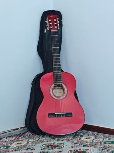 A full-frame, eye-level shot shows a pink acoustic guitar leaning against a light blue wall in the corner of a room. The guitar is inside a black guitar case that is also leaning against the wall. The guitar has white tuning pegs on the headstock, a fretboard with silver frets, and a circular soundhole with a decorative inlay. The body of the guitar is a bright pink color. The guitar case is zipped up. The floor is covered with a patterned rug in shades of beige, red, and green. The lighting is even and appears to be from an overhead source. The scene is static with no visible people or movement. This image was taken in the city of Türkmenabat, Turkmenistan.