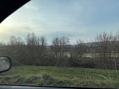 The image depicts an exterior landscape viewed from inside a vehicle, evidenced by the dark frame in the upper left and a partial side mirror visible in the lower left. The scene is located in Suhache, Bulgaria, under an overcast sky with diffuse light. In the immediate foreground, a strip of green grass and dry vegetation is present. The midground features a dense line of bare deciduous trees, indicating a late autumn, winter, or early spring season. Beyond these trees, a lighter-toned, possibly fallow field or shallow body of water is visible. In the background, low-lying hills or mountains are discernible. A cluster of light-colored buildings, possibly part of a distant settlement, can be seen behind the trees on the left side of the frame. No individuals, animals, or specific activities are observed.