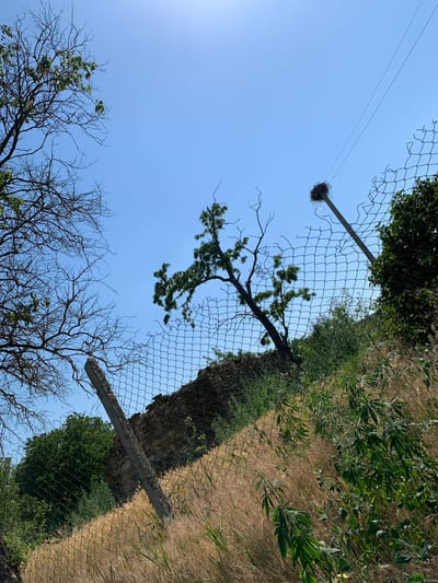 This media file captures an outdoor scene with a clear blue sky. The primary subjects are a chain-link fence, a bird's nest on a pole, and vegetation. The fence runs diagonally across the image, separating different areas of foliage and dry grass. A notable object is a bird's nest, constructed from twigs and straw, perched on a metal pole that extends upwards. The nest is located in the upper left portion of the image, against the bright sky.

Various types of vegetation are visible, including leafy green bushes and trees with bare branches, suggesting a transition between seasons or a naturally sparse environment. The ground appears to be covered in dry grass and some green plants, indicating a rural or overgrown setting. A concrete beam is visible in the middle right of the image, extending from the fence line.

The scene appears to be set during the daytime, with bright sunlight casting shadows and illuminating the sky. The overall mood is one of natural simplicity, with no human presence or explicit activity taking place. The presence of the bird's nest suggests a natural habitat. The crops and the chain-link fence might suggest a boundary or a fenced-off area, possibly agricultural or undeveloped land. No text is visible in the image. The location context provided is Indiya, Moldova, which could imply a specific type of landscape or flora associated with that region.