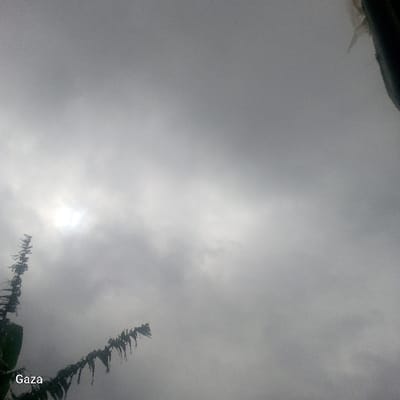 The image depicts an overcast sky over Kamera ward, Kenya, dominated by dense, grey cloud cover. A bright, diffused light source, indicative of an obscured sun, is visible in the upper-left quadrant. Two dark green, leafy branches are prominent: one extends vertically along the left edge of the frame, and another shorter branch angles upwards from the bottom-left. Both sets of leaves appear somewhat dishevelled, potentially from wind or rain. A dark, indistinct object is partially visible in the top-right corner, intruding slightly into the frame. White text "Gaza" is superimposed on the image in the bottom-left corner. No human figures or discernible actions are present.