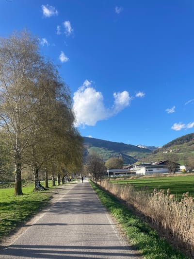 The image captures a road in Sterzing-Vipiteno, Italy, lined by trees on one side and fields and buildings on the other. A bicycle leans against one of the trees. Further down the road, there are individuals walking and parked vehicles. In the distance, mountains rise, partially covered with snow. The sky above is blue with scattered clouds. Shadows cast by the trees stretch across the road surface. Adjacent to the road is a patch of brown, reedy plants.