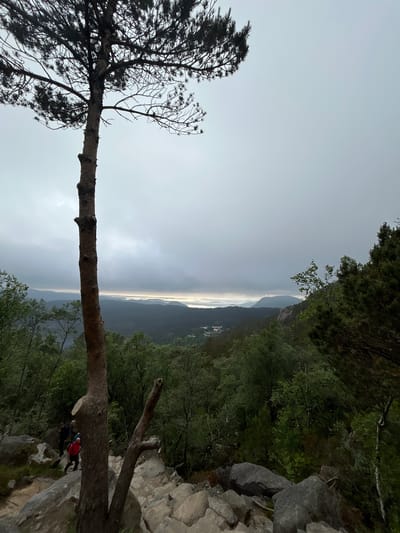 This media file captures a scenic, overcast view from a rocky, forested cliffside in Norway. The scene is dominated by lush green trees and large grey rocks on the right, leading down to a distant valley shrouded in mist. The sky is a pale, diffused grey, suggesting early morning or a heavily clouded day.
In the foreground, a large, fallen tree trunk stretches horizontally across the frame, with its branches silhouetted against the sky. Some of the branches are bare, while others still bear pine needles. Further down the slope, two individuals are visible near the edge of the cliff, appearing to be rock climbing or preparing to descend. One person is wearing a bright red jacket, making them a focal point against the darker surroundings.
The overall mood is one of natural grandeur and perhaps a hint of adventure, with the vast, misty landscape creating a sense of depth and scale. The weather appears to be cool and damp, typical of a cloudy day in Norway. No visible text is present in the image.