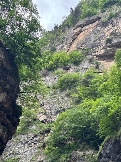 The image depicts a view looking up a steep, rocky gorge. The left side of the gorge is dominated by a dark, sheer rock face covered in patches of green vegetation. The right side of the gorge is a massive, layered cliff face with varying shades of gray, tan, and brown rock. Lush green trees and foliage grow densely on the slopes and ledges of the cliff, creating a vibrant contrast with the stone. The sky above is overcast and bright. The location is identified as Khushto-Syrt, Russia. No people or specific actions are visible.