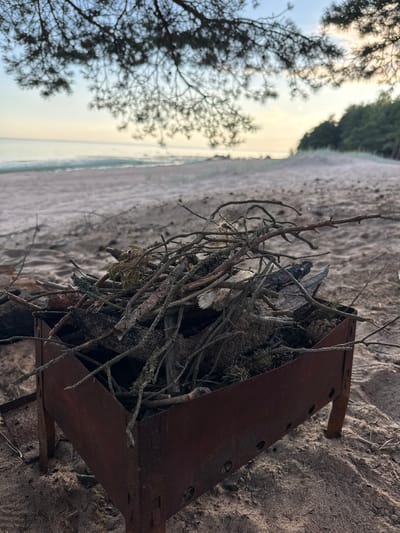 The image depicts a beach scene in Shepelevo, Russia, focused on a rusty portable grill filled with dry branches and pinecones, situated on sandy ground. In the background, the calm sea meets a sandy shore, bordered by a line of trees and dunes, all under a pale sky suggesting either dawn or dusk. The foreground is dominated by the grill and its contents, with the sandy beach stretching out behind it towards the water. No people are visible in the frame, and no actions or interactions are depicted. The environment is natural and serene, with the natural elements of sand, sea, and vegetation prominently featured.
