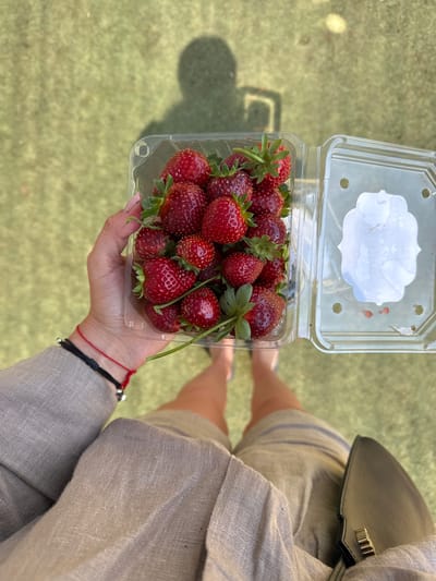 A first-person perspective shot shows a person holding a clear plastic container of fresh strawberries. The container is approximately half full of ripe, red strawberries with green stems. The person's hand, with manicured nails, is visible on the left side of the container, and they are wearing bracelets on their wrist. The background is a blurred green grassy area, casting a distinct shadow of a person in the upper left quadrant of the image. The scene suggests an outdoor setting, possibly a park or field, and given the location context of Gderot Regional Council, Israel, it could be a strawberry farm or a picnic area. The overall lighting is bright, indicating daylight.