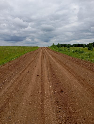 The image depicts a dirt road in a rural setting, likely in Nizhnii Koz'myash, Russia. The road stretches forward into the distance, disappearing over a gentle incline. It is a light brown, unpaved surface with visible tire tracks and scattered stones. To the left of the road is a vibrant green field, dotted with small white wildflowers. Beyond the field, a line of dark green trees forms a dense forest on the horizon. To the right of the road, the landscape is similar, with patches of green vegetation and scattered trees leading towards the forest.

The sky above is overcast with heavy, grey clouds, suggesting a cloudy or possibly rainy day. The light is diffused, casting a soft, even illumination across the scene. There are no people or vehicles visible in the image, making the road appear deserted. The overall mood is one of solitude and natural tranquility. The natural environment is the primary subject, with the dirt road serving as a path through the landscape. The time of day is indeterminate due to the overcast sky, but it appears to be daytime. There is no visible text in the image.