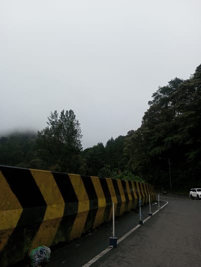 The image depicts a mountain road in Deothang, Bhutan, under an overcast sky with heavy fog partially obscuring distant peaks. A multi-segment concrete barrier, painted with alternating yellow and black chevron patterns pointing right, runs along the left side of an asphalt road. A white solid line marks the edge of the paved surface adjacent to the barrier, where several white reflective posts with blue bases are installed. A white plastic bag is visible at the base of the barrier in the lower-left. The road curves right and ascends into the background. Dense green foliage and tall trees cover the steep hillsides bordering both sides of the road. A streetlamp is visible amidst the trees on the right. A white SUV is observed driving on the curved road in the mid-distance, followed by a smaller, less distinct vehicle. No people are visible.