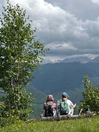 Two individuals, viewed from behind, sit on a fallen log on a grassy slope, facing a panoramic view of lush green mountains under a cloudy sky. The person on the left wears a pink hooded jacket and a black backpack, while the person on the right wears a light-colored outfit and a blue baseball cap, with a green backpack. A large tree with green leaves is prominent on the left side of the frame, and smaller foliage and yellow wildflowers dot the foreground. In the distance, successive layers of mountains fade into a misty blue haze, with snow-capped peaks visible on the horizon. The overall setting suggests a natural, remote landscape, likely in the mountainous region of Nizhnyaya Teberda, Russia, offering a serene vista.