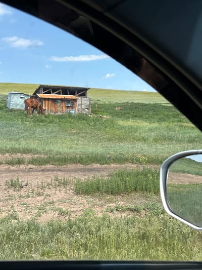 The image shows a rural scene with a brown horse grazing in a grassy field near a small, weathered wooden structure. To the left of the wooden structure is a small, metallic shed. In the background, a gentle green hill rises under a partly cloudy blue sky. The scene is viewed through a car window, with the black frame of the window and a portion of the side mirror visible in the foreground. The location is identified as Troitskoe, Russia.