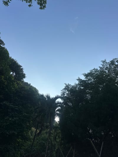 The image shows a clear blue sky with a faint crescent moon and a few wispy clouds. The sky is framed by the silhouettes of lush green trees on the left and right. In the center, there are several palm trees, their fronds fanning out against the sky. The overall impression is one of a natural landscape, possibly a tropical or subtropical region. The location is specified as Wang Kelian, Malaysia. The scene appears tranquil and serene, with no human presence or activity visible.