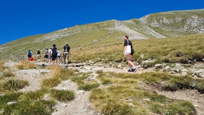 A group of hikers walk along a dirt path on a grassy mountainside under a clear blue sky. In the foreground, a young woman with blonde hair pulled back in a ponytail, wearing a black t-shirt, black shorts, white socks, and pink athletic shoes, walks away from the camera carrying a white tote bag. Behind her, a man in camouflage pants and a black t-shirt walks away from the camera. Further up the path, several other hikers are visible, some walking and some standing. The path is lined with dry grass and rocks, and a wooden railing runs along the left side of the path. The mountainside is covered in green and yellow grass, with some rocky outcrops. In the distance, the slope of the mountain continues upward, with a building visible near the summit. The scene appears to be in a mountainous region. This image was taken in the Gran Sasso mountain range, part of the Apennines, located within the province of L'Aquila, in the Abruzzo region of Italy.