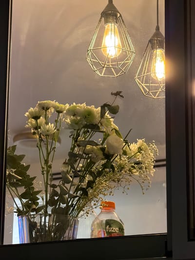 A reflective surface displays a bouquet of white flowers, seemingly in a vase, along with a Fuze Tea bottle. Two caged light bulbs hang overhead, their warm glow casting light onto the scene. The image is framed by a dark border, suggesting a window or mirror. The overall aesthetic is modern and slightly minimalist.