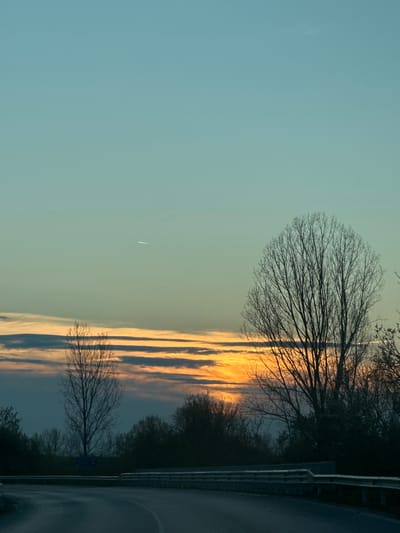 The image depicts a roadside scene in Kesarevo, Bulgaria, during sunset. A bare tree is silhouetted against a sky striated with orange and gray clouds, indicating the setting sun. To the right is a road and a metal guardrail. Further into the background, more trees and foliage are visible. The sky in the upper left is a light blue color. A single contrail is visible in the sky.