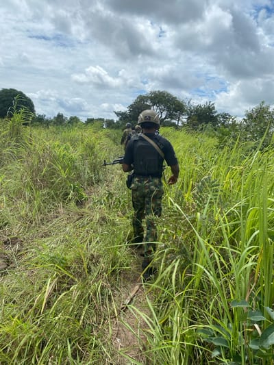A column of at least three individuals, identified as military or security personnel, is observed traversing a narrow dirt path through dense, tall green vegetation in the city of Gadzhi, Nigeria. The foremost individual, viewed from behind, wears a dark tactical shirt, a tactical vest, camouflage pattern trousers, and dark boots. A light-colored ballistic helmet, featuring a white emblem on the left side, is worn. An assault rifle, consistent with an AK-variant, is held by the individual's right hand, pointed downwards. Two additional individuals in similar tactical attire follow in single file, partially obscured by vegetation and the lead figure. The environment is characterized by overgrown fields of tall grass and shrubs, with a treeline visible on the horizon under a heavily clouded sky.