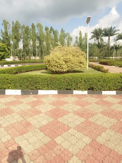 The image depicts a well-maintained garden area, likely within the city of Obe, Nigeria. In the foreground, a paved pathway with a pattern of interlocking hexagonal tiles in shades of red and beige is visible, with a shadow of a person cast on the lower left. A low, black and white striped concrete border separates the pathway from a manicured green hedge. Behind the hedge, a round, bushy tree with light-colored foliage stands prominently. Further back, a curved pathway winds through more manicured hedges and small ornamental bushes. A row of tall, slender trees with green foliage forms the background, interspersed with palm trees. A tall, modern lamppost with a solar panel is positioned towards the right side of the image. The sky is partly cloudy. The scene suggests a public park, a corporate compound, or a residential garden designed for aesthetic appeal and leisure.