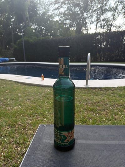 The scene is outdoors near a pool, likely in a residential area. A green bottle of "Nobel" spirit is lying horizontally on a dark gray surface, possibly a lounge chair. The background shows green grass, a swimming pool with a silver ladder, and trees in the distance. The location is Santa Ana Yancuitlalpan (Chilhuacán), Mexico. There are no people visible. The primary subject is the bottle of Nobel spirit.