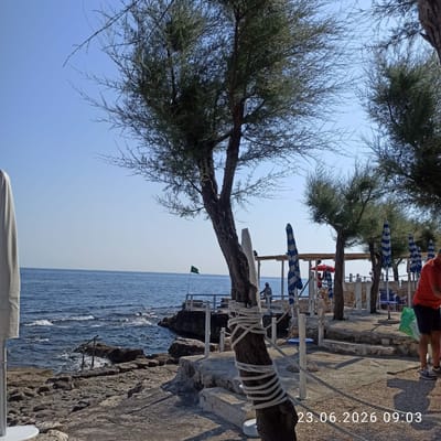 The image depicts a rocky coastline with the sea in the background, under a clear blue sky. In the foreground, a tree trunk is wrapped with thick white rope. To the left, a white beach umbrella pole is visible. Several striped beach umbrellas are set up further back, along with a low white railing and stone structures. A person in a red shirt and dark shorts is standing on the right side of the image, facing away from the camera. The date and time stamp "23.06.2026 09:03" is overlaid on the bottom right corner. The scene suggests a beach area in Molfetta, Italy, possibly a section of the coastal promenade or a private beach club, given the presence of umbrellas and a fenced-off area. The environment is sunny and appears to be a typical summer day by the sea.