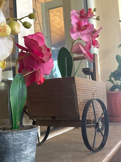 This image, captured in Orizari, Bulgaria, presents a close-up, slightly tilted view of a decorative arrangement featuring artificial flowers and a miniature wooden cart. The main subjects are several artificial pink orchid blossoms with green leaves and buds, appearing vibrant and detailed. These are "planted" within a small, rustic wooden cart or wheelbarrow, which has a slatted, light brown top surface and darker sides. A prominent black metal wheel with spokes is attached to the front of this wooden cart.

In the lower foreground, parts of a white artificial orchid with yellow and orange detailing are visible, suggesting a larger collection of decorative plants. To the bottom right, a grey, textured pot holds more green leaves from an artificial plant, likely another orchid. The texture of this pot resembles aged wood or stone.

The background is softly out of focus, revealing bright ambient light, indicative of daytime. There are hints of a window or light source reflecting in a glass surface, suggesting an indoor or sheltered outdoor setting like a balcony or patio. A reddish-brown pot or planter can be seen in the upper background.

There is no activity taking place; the image captures a static decorative display. No human subjects are present, and no discernible text is visible within the frame. Notable details include the clear artificiality of the flowers, the rustic charm of the wooden cart, and the visible dust on some surfaces, particularly the grey pot, suggesting it is a long-standing display. The overall impression is one of a carefully arranged, ornamental floral scene.