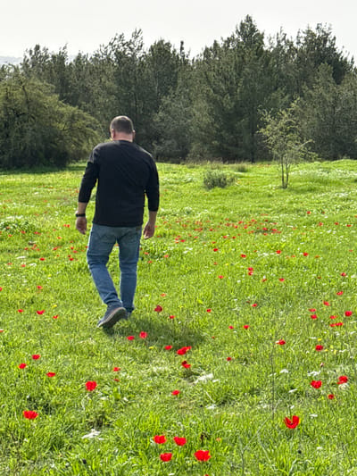 The image captures a male subject walking through a vibrant green field adorned with numerous red anemones, interspersed with smaller white and yellow wildflowers. The scene is located within Modiin-Maccabim-Reut, Israel. The man is viewed from behind, wearing a dark long-sleeved shirt, blue jeans, and dark athletic shoes, with a dark watch on his left wrist. He is in motion, walking away from the camera into the field, his left foot extended forward. A dense line of evergreen trees forms the backdrop, beneath a light, overcast sky. A smaller, sparse tree stands in the mid-ground to the right.