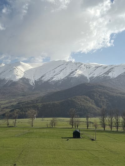 The image presents a landscape view in Margahovit, Armenia, featuring a snow-covered mountain against a partly cloudy sky. A densely forested area slopes down from the mountain's base, transitioning into a flat, grassy field. A line of trees runs along what appears to be a fence or boundary within the field. A small, dark structure is visible in the green field, close to the line of trees. The overall scene depicts a natural environment with a combination of mountainous and agricultural elements.