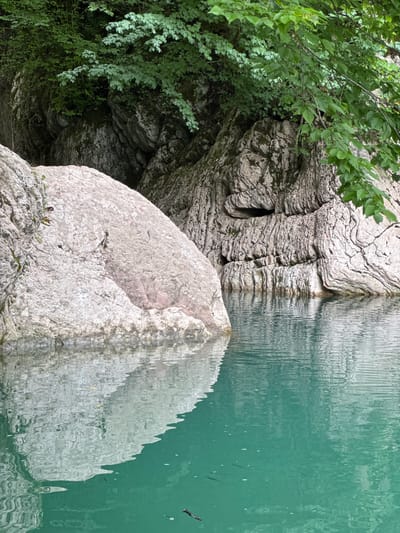 The image shows a natural scene with a body of turquoise water in the foreground, reflecting the surrounding rocks and foliage. On the left, a large, pale pinkish-grey boulder dominates the foreground, its surface textured and weathered. Behind this boulder, and to the right, is a cliff face composed of layered grey rock, showing striations and crevices. Lush green foliage hangs from the top of the cliff, obscuring parts of the rock formation. The water is calm, with ripples distorting the reflections of the rocks and trees. Several small, dark fish are visible swimming in the clear water. There are no people or man-made objects in the scene, suggesting a remote natural location. The image appears to be a photograph taken outdoors, likely in a natural gorge or riverbed. The description of Khleborob, Russia is not supported by any visual evidence within the provided image.