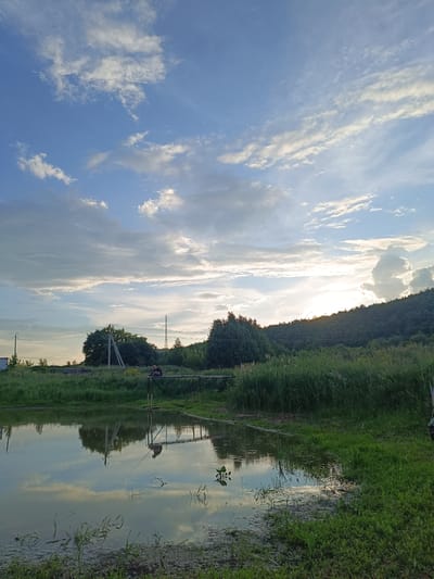 The image depicts a serene outdoor scene at dusk, likely in Verkhnie Chershily, Russia. In the foreground, a calm body of water reflects the sky and surrounding landscape. The water's edge is bordered by lush green grass and reeds, with some aquatic plants visible.

A wooden pier extends into the water from the right side of the frame. On the pier, a solitary individual is seated, fishing, with a fishing rod extending over the water. The individual appears to be wearing dark clothing.

The middle ground features a dense area of tall green grass and reeds, interspersed with scattered trees. Beyond this, a gentle, tree-covered hill rises in the background. A tall, slender transmission tower is visible on the crest of the hill. Power lines and utility poles are also present in the middle ground, indicating proximity to some infrastructure.

The sky is a prominent feature, with a blend of deep blue near the top and lighter hues closer to the horizon, indicating the setting sun. Scattered white and gray clouds drift across the sky, some illuminated by the fading sunlight. The overall atmosphere is peaceful and tranquil.
