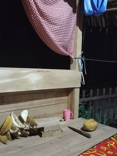 A close-up, eye-level shot captures a wooden stall at night in Meunyepirak, Indonesia. A red and white checkered cloth hangs diagonally across the upper portion of the frame, obscuring a dark background. To the right, a blue fabric is draped. A wooden structure with horizontal planks forms the main body of the stall. On the lower surface of the stall, several durian fruits are visible. Some are whole, while others are cut open, revealing their spiky exteriors and creamy interiors. A pink mug and a knife lie on the wooden surface. In the background, a wooden fence with vertical slats is discernible, with dark foliage beyond. The lighting is dim, suggesting an outdoor setting at night, possibly a roadside stall.
