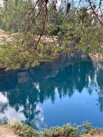 This image depicts a quarry lake with exceptionally clear, turquoise-blue water, located in the city of Säter, Sweden. The lake is surrounded by steep, rocky quarry walls, which are reflected in the water. Overhanging pine branches with green needles partially obscure the top of the frame, framing the view of the quarry and its reflection. The water's surface is disturbed by gentle ripples, creating distorted reflections of the surrounding trees and sky. The bottom edge of the image shows a bank covered with low-lying green shrubs and dry grass, with a sandy or earthy surface. The overall impression is one of natural beauty and tranquility within an industrial past.