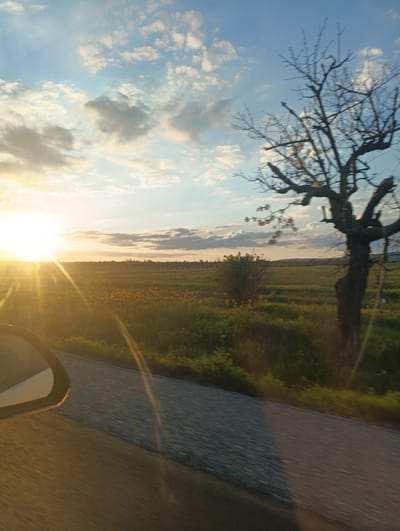 The image shows a rural landscape at sunset, likely taken from a moving vehicle. A field with a mix of green and yellow vegetation stretches across the scene. A bare tree stands on the right side of the frame. The sky is a mix of blue and white clouds with the sun setting on the left, causing lens flare. A portion of a car's side mirror is visible in the bottom left corner. The scene appears to be near a paved road. The location is specified to be Chernograd, Bulgaria.
