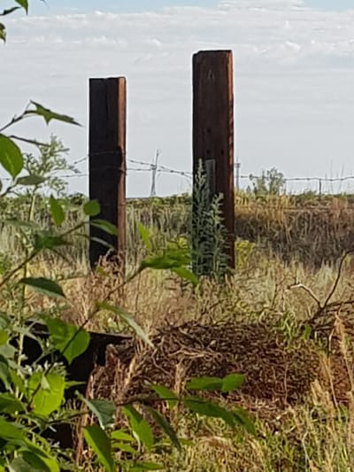 The image depicts an outdoor scene with two dark brown wooden posts, likely fence posts, standing upright in dry, tall grass. A barbed wire fence runs horizontally behind the posts. In the background, there is a hazy sky with some clouds and distant structures that appear to be a tower and possibly some trees. The foreground is partially obscured by green leafy foliage. The scene appears to be in a rural or undeveloped area, consistent with the description of Дөлен ауылдық округі, Kazakhstan. There are no people or animals visible in the image.