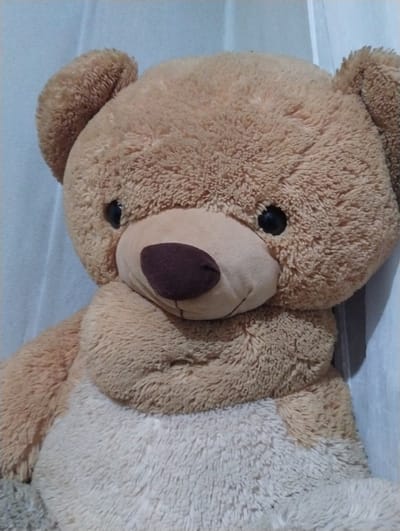 The media file displays a close-up, angled shot of a large, plush teddy bear, presumably located in Roza, Bulgaria. The teddy bear is light brown or tan with soft, shaggy fur covering its head and body. Its face features two round, black button eyes and a prominent snout with a dark brown, oval-shaped nose. The bear's belly or chest area is a lighter cream or off-white color, providing a contrast to its main body fur.

The teddy bear appears to be lying down, occupying most of the frame. The background is indistinct, showing light, muted tones of white, light blue, or gray, suggesting an indoor setting such as a bed or a light-colored surface and wall. There is no specific activity taking place; the bear is stationary. The lighting is soft and even, indicating ambient indoor light, and no specific time of day or weather conditions are discernible. No human subjects, visible text, or specific location cues within Roza, Bulgaria, are present in the image beyond the object itself.