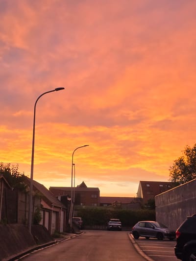 This image captures a vibrant sunset or sunrise over a residential street in Mouscron, Belgium. The dominant feature is the expansive sky, filled with dramatically lit clouds. The clouds display a rich spectrum of colors, transitioning from intense oranges and yellows on the left side, where the sun's low light is strongest, to softer pinks and purples towards the right. The sky shows dynamic cloud formations, appearing somewhat streaky and layered.

In the lower half of the image, a residential street scene unfolds, largely silhouetted against the bright sky. Two tall, curved streetlights stand prominently against the colorful backdrop; one is closer in the left-center, and another further in the distance to the right. Along the paved road, which curves from the lower right towards the center-left, several buildings are visible. These include houses and possibly apartment blocks, appearing as dark, angular forms with discernible rooflines and windows. Various parked cars are also visible on the street and driveways, mostly in shadow, though one light-colored sedan can be faintly distinguished on the right side of the road. Dark vegetation, including trees and bushes, is scattered throughout the scene, particularly around the buildings and a tree branch is visible in the upper right corner.

No specific activity or people are visible, presenting a serene and atmospheric moment. The time of day is clearly either dawn or dusk, evidenced by the low angle of the sun's light creating strong backlighting and a vivid, colorful sky. There is no visible text in the image.