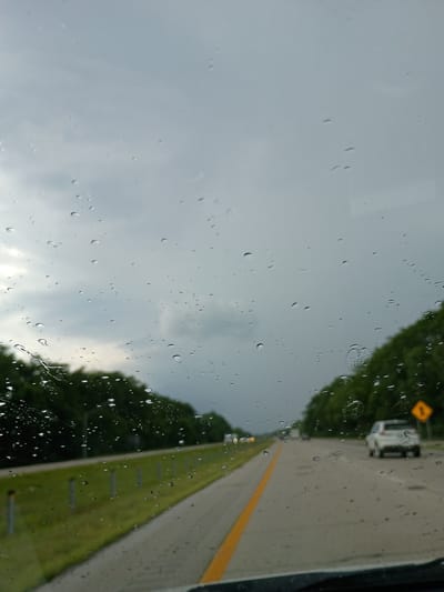 The image shows a view from inside a vehicle looking through a rain-streaked windshield at a highway. The sky is overcast and gray. On the left side of the highway, there is a grassy median with a line of posts, bordered by a dense line of green trees. On the right side of the highway, trees are also visible, and further down the road, a white SUV is driving. A yellow diamond-shaped warning sign with a symbol indicating a sharp curve is visible on the right shoulder of the road. The highway has a yellow dividing line and appears to be in a rural or suburban area. There are no people visible in the image.