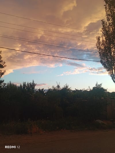 The image captures a sunset scene with a dramatic sky. The left side of the frame is dominated by clouds in shades of orange and pink, illuminated by the setting sun. Several power lines are visible traversing this part of the sky. The right side of the image features a dense line of dark green foliage, likely trees and bushes, creating a stark contrast with the colorful sky. A dirt road or path is visible to the far right, partially obscured by shadows. The overall impression is one of a peaceful, natural landscape at dusk. The lighting suggests it is either sunrise or sunset, with the warm tones of the clouds indicating the former or latter. There are no people or specific objects clearly identifiable beyond the natural elements and the power lines. The presence of power lines suggests a rural or semi-rural setting, possibly near a residential area. The text "REDMI 12" is visible in white on the right edge of the image, indicating the device used to capture the photo.