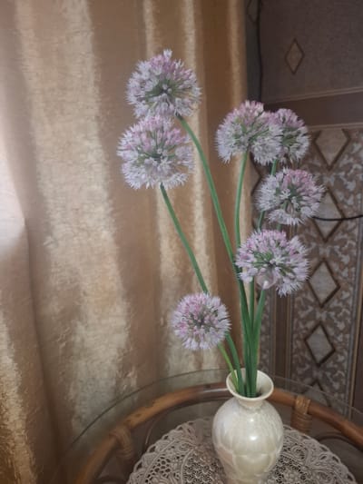 A close-up, indoor, eye-level shot features a vase of artificial allium flowers. The flowers, which are a pale pink and white, are arranged in a light beige, pear-shaped vase with a white glaze. The vase sits on a glass-topped table with a rattan edge, atop a white, crocheted doily. Behind the table, a gold, textured curtain hangs, and to the right, a patterned wallpaper is visible with a diamond motif. The scene is well-lit, with soft lighting that casts subtle shadows. The image is taken from a slightly elevated angle, looking down onto the vase and flowers. The background suggests a domestic interior, possibly a living room or dining area. No specific location in the city of Svobodny, Russia, can be determined from the visual information provided.