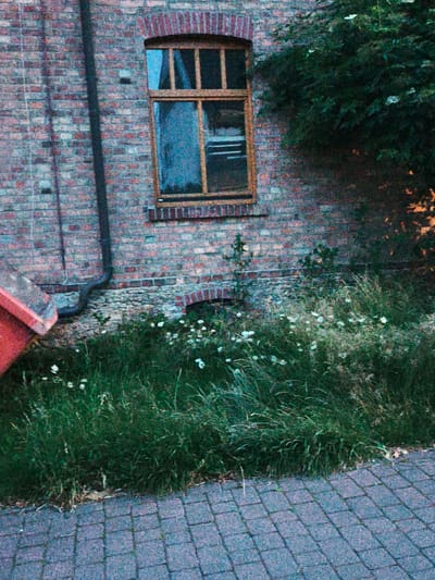 The image depicts a narrow section of a brick building with a window and a downspout. In front of the building is a patch of overgrown grass with small white flowers and a paved walkway made of rectangular gray stones. A red container is partially visible on the left side of the frame. The scene is located in the city of Bad Rothenfelde, Germany. There are no people or animals visible in the image, nor are there any discernible actions or interactions taking place. The environment appears to be outdoors and slightly overgrown.