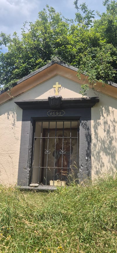 The image shows a small, weathered structure, likely a chapel or shrine, nestled amongst dense green foliage and overgrown grass. The facade of the structure is painted a light cream color, with a darker grey trim around a central window. Above the window, a golden cross is mounted on the building. Below the cross, a stone carving or emblem is visible. Directly above the window, a plaque displays the year "1685" in golden numerals. The window itself is barred with black metal and contains a painting of what appears to be a religious figure, possibly Mary holding a child, rendered in muted colors. The lower sill of the window holds several small, rectangular objects that could be candles or votive offerings. The foreground is dominated by tall, wild grasses and a few small yellow wildflowers. The background is filled with the lush green of trees and a sliver of blue sky with some clouds. The overall impression is one of age and a natural, untamed setting. The structure is located in Sargans, Switzerland.
