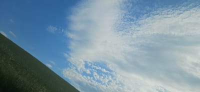 The image depicts a tilted view of a grassy hillside under a blue sky with scattered clouds. The hillside, covered in green grass with visible small white and purple flowers, slopes upwards from the bottom left corner towards the top right. The sky occupies the upper portion of the image, with a gradient from a clear blue on the left to more densely clouded areas on the right. The clouds range from small, scattered cumulus formations to larger, wispy cirrus or altocumulus clouds. The lighting suggests it is daytime, with sunlight illuminating the scene. The image has a slightly diagonal orientation, as if captured while tilting upwards. The setting appears to be a natural, open landscape, possibly a meadow or a field on a hill, consistent with rural areas like Šarišská Poruba, Slovakia. There are no people or man-made structures visible in the frame.