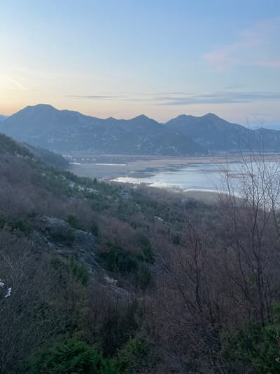 The image displays an elevated panoramic view of a natural landscape, identified as the area surrounding Lake Skadar near Godinje, Montenegro, under the diffused light of either dawn or dusk. The sky, occupying the upper portion of the frame, exhibits a gradient from pale blue overhead to subtle pink and orange hues at the horizon. A prominent range of dark, rugged mountains forms the backdrop, stretching horizontally across the mid-ground. Below the mountain range, a calm, serpentine body of water, reflecting the sky's light, extends from left to right, bordered by low-lying, marshy terrain and sparse vegetation. Indistinct small structures, indicative of human settlement, are faintly visible along the distant shore near the water's edge. The foreground and immediate mid-ground consist of a steep hillside densely covered with vegetation. This vegetation is primarily composed of bare deciduous trees with visible intricate branching patterns, interspersed with clusters of dark green evergreen shrubs and patches of exposed grey rock formations. No individuals, animals, or specific actions are discernible within the scene.