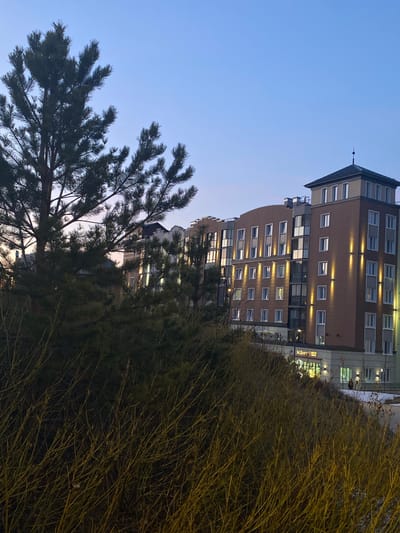 A vertical, nighttime photograph captures a multi-story building in Chemoshur, Russia, framed by natural elements. The building, constructed with a brownish-orange brick facade, features numerous windows, many of which are illuminated with warm light, complemented by external facade lighting. Its architectural design includes a distinct sloped roof, possibly with a small spire at the top, and a subtle curved section along one side. Visible text on a sign on the lower part of the building clearly reads "M.Видео," identifying it as a Russian electronics retailer. Additionally, square-shaped logos or stylized letters are visible on the building's facade across several floors.

In the left foreground, a prominent dark green coniferous tree, likely a pine or spruce, extends its branches and needles into the frame, partially silhouetted. To the right, a dense mass of thin, yellow-brown branches, resembling a dormant bush or hedge, occupies a significant portion of the foreground. The sky above is a clear, deep blue, suggesting the time of day is dusk or early night. No human activity or specific event is taking place, presenting a quiet and illuminated urban scene.