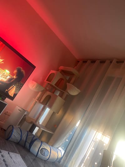 The image depicts an indoor residential scene, identified as being in Le Puy-en-Velay, France, illuminated by a prominent red ambient light source, likely an LED fixture, casting a reddish hue across the ceiling and upper wall.
On the left side of the frame, a large flat-screen television displays a female figure with dark, curly hair, viewed in profile, seated and looking upwards. Below the television, a white, vertical appliance, possibly an air purifier or humidifier, stands on a media console.
Centered in the room is a tall, multi-level cat tree, beige in color, featuring various platforms, scratching posts, and two elevated, bowl-shaped resting areas. An orange ball rests on one of the lower platforms of the cat tree. On the floor directly in front of the cat tree, a collapsible pet tunnel, blue and grey with multiple openings, is extended. A light-colored wooden or laminate floor is visible, with a section of a grey rug in the bottom left foreground.
To the right, a large window, covered by sheer white grommet-top curtains, allows bright natural light to enter, creating a significant glare in the lower right corner. The overall environment appears tidy. No human figures are present within the physical space depicted in the room.