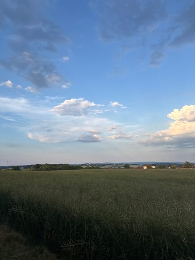 The image depicts a landscape in Beltershain, Germany, under a partially cloudy blue sky. In the foreground, a dense field of green crops, possibly rapeseed, stretches across the frame. The middle ground features a line of trees and a small village with scattered houses and rooftops, some with light-colored walls and darker roofs. Several wind turbines are visible in the distance, along the horizon. The sky displays a mix of light and dark clouds, with some brighter, illuminated clouds on the right side of the frame. The overall scene suggests a rural setting during daylight hours, likely late afternoon or early evening due to the lighting. There are no people or animals visible in the image.