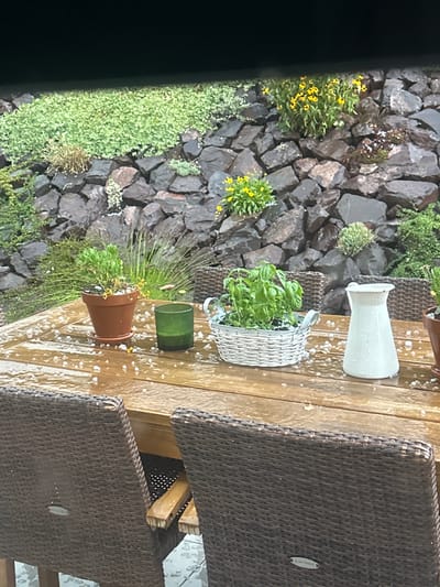 The image depicts a patio table with various potted plants and decorative objects, situated outdoors on what appears to be a wooden deck. The scene is set against a backdrop of a rocky retaining wall with lush greenery and yellow flowers. A significant amount of hailstones are scattered across the table surface and the chairs, indicating recent or ongoing inclement weather.
Specifically, on the table from left to right, there is a brown terracotta pot containing a small green plant, a green glass candle holder, a white woven basket holding a basil plant, and a white pitcher. The chairs surrounding the table are made of dark brown wicker. The background shows a textured stone wall with various plants growing from crevices, including dense green ground cover at the top and clusters of small yellow flowers. The overall impression is a garden setting during a hailstorm. While the image is from Wadern, Germany, no specific landmarks or identifiable locations within the city are visible. The weather conditions suggest a sudden downpour of hail, affecting the outdoor furniture and plants.